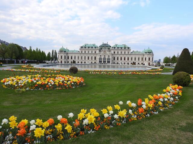 Schloss Belvedere im neuen Frühlingskleid