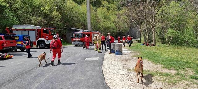 Foto:  RK NÖ / H. Karner
