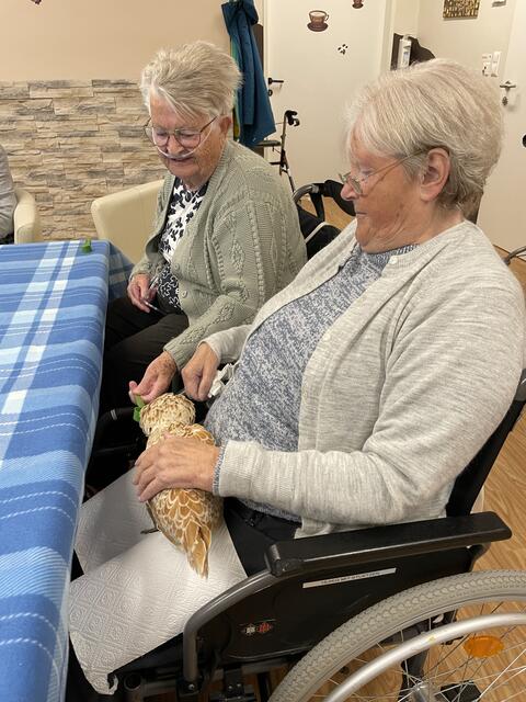 Foto: RegionalMedien_Eisner