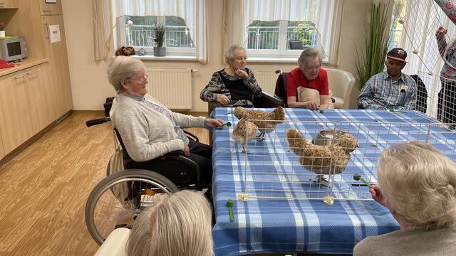 Foto: RegionalMedien_Eisner