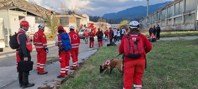 Übung der Suchhunde-Führer des Roten Kreuzes in Sarajewo. | Foto:  RK NÖ / H. Karner