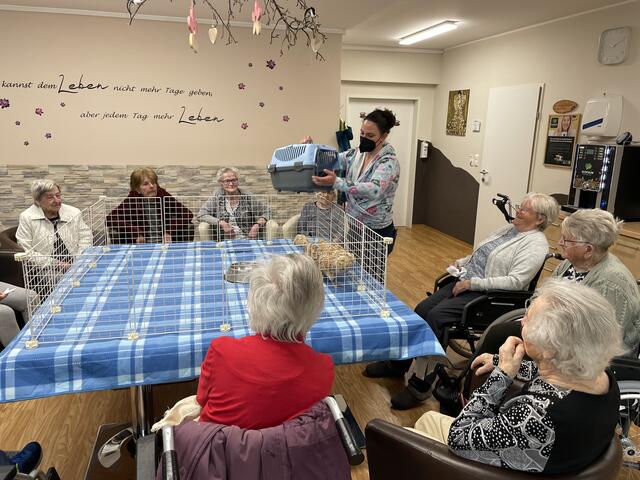 Foto: RegionalMedien_Eisner