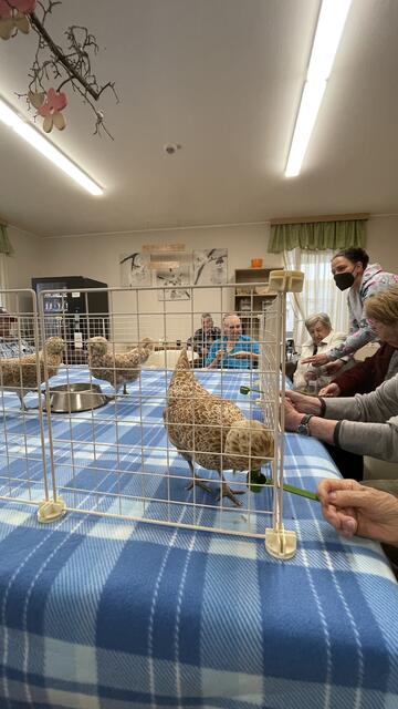 Foto: RegionalMedien_Eisner