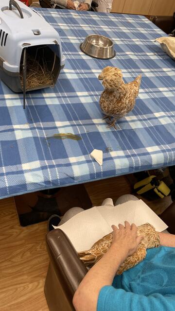 Foto: RegionalMedien_Eisner