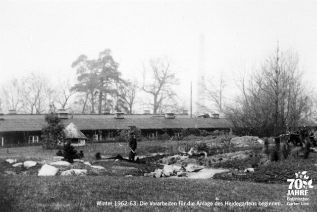 Hier wird der Botanische Garten angelegt (1962-63). | Foto: Botanischer Garten Linz