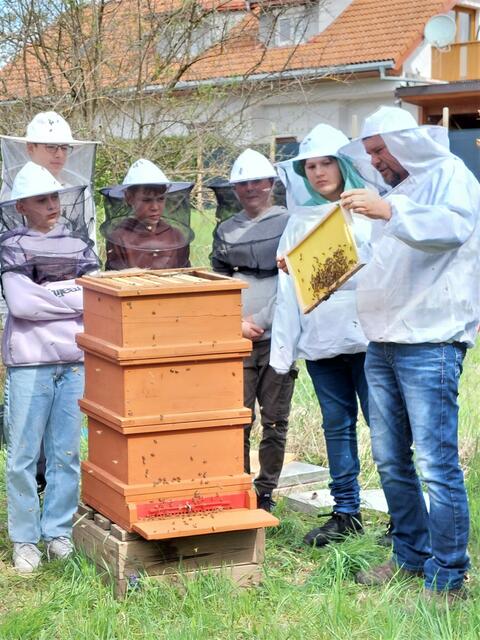 Die MS Hitzendorf erfuhr viel über die Arbeit des Imkers und die der Bienen. | Foto: Pleyer
