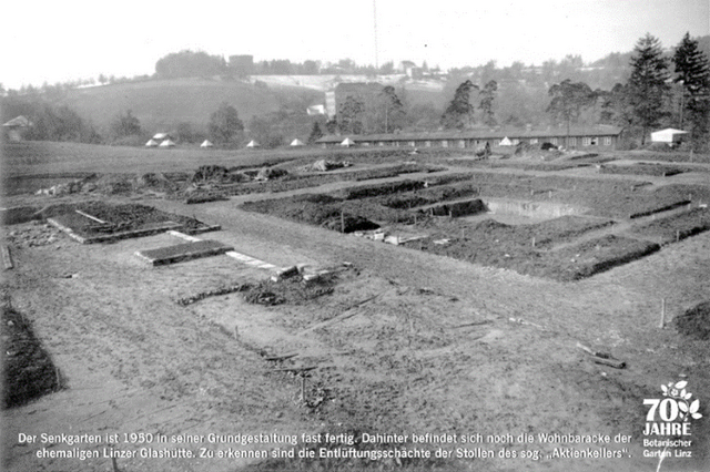 Hier wird der Botanische Garten angelegt (1950). | Foto: Botanischer Garten Linz