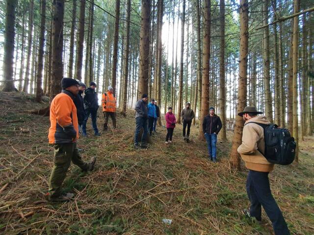 Workshop im Wald in Langschlag | Foto: Waldviertler Hochland