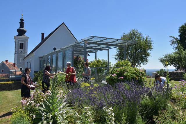 Der Kräutergarten beim Tempelmuseum am Frauenberg blüht und gedeiht. Gabriele Kleindienst lädt am 14. Mai zu einer Kräuterreise ein. | Foto: Waltraud Fischer