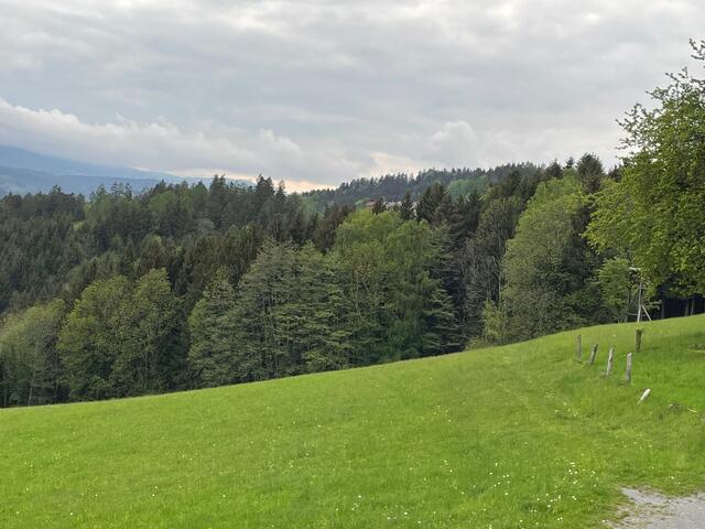 Artenreiche Mischwälder sind die Zukunft für mehr Klimafitness. | Foto: Susanne Veronik