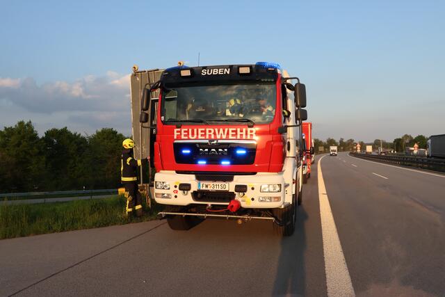 Foto: Markus Bäumler/zema-medien.de