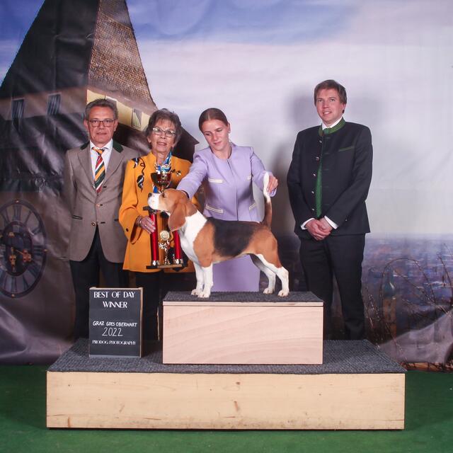 Der Beagle - Tagessieger 7.5.2022 | Foto: Pro Dog