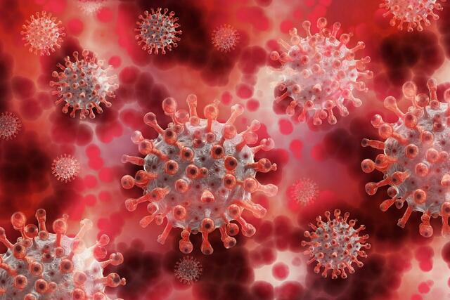 Das Virus scheint unter dem Druck des menschlichen Immunsystems mehrfach und unabhängig an denselben Positionen des Oberflächenproteins zu mutieren, so die Erkenntnis. | Foto: Regionalmedien Austria Archiv