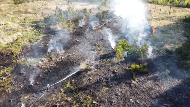 Teil der betroffenen Fläche | Foto: BFKWT/St. Mayer