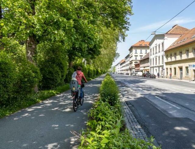 Auch der Fahrradweg am Glacis bekommt ein farbliches Makeover ... | Foto: Land Steiermark/Stadt Graz