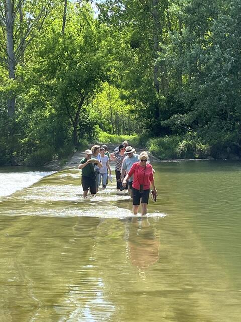 Barfuß ging es für die Teilnehmerinnen und Teilnehmer über einen Flachbereich der Donau.