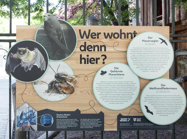 Wer wohnt denn hier? Ein Schild in einem Park im 7. Bezirk veranschaulicht die tierischen Stadtbewohner.