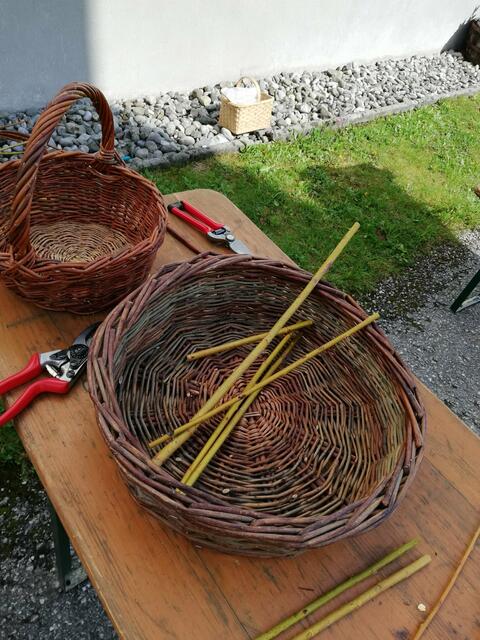 Foto: Forstmuseum Silvanum