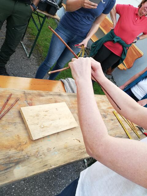 Foto: Forstmuseum Silvanum