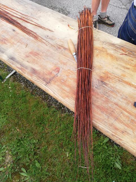 Foto: Forstmuseum Silvanum