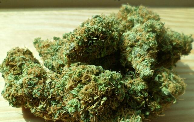Mehrere Drogentest verliefen positiv auf THC  | Foto: Symbolfoto: pixabay.com
