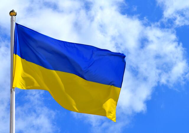 Weniger als 20 Prozent von 210 ukrainischen Teilnehmerinnen einer Umfrage gaben an, dass sie schon eine Grundversorgungszahlung erhalten haben.