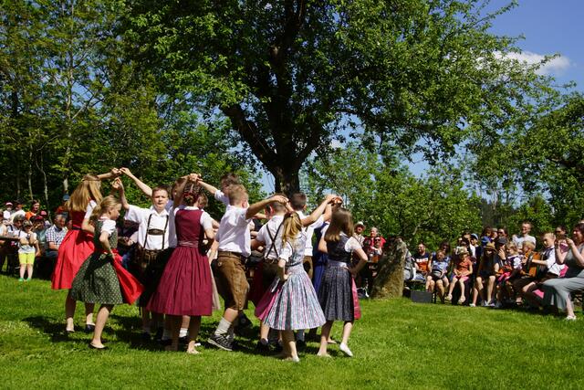 Foto: Helmut Eder