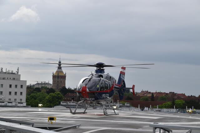 Geglückte Landung… | Foto: Karl Pufler
