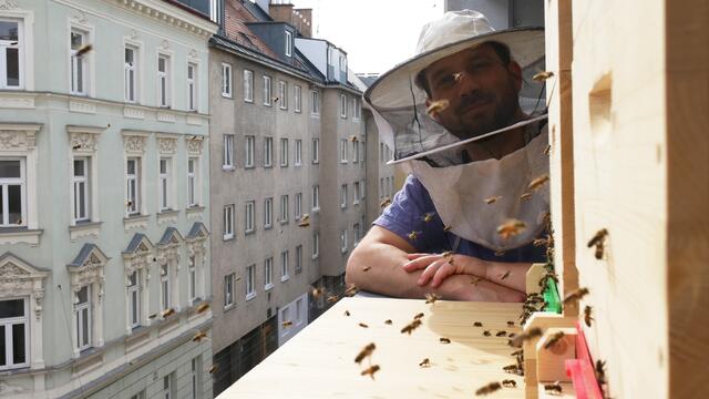 Imker Daniel Mittendorfer und seine summenden, fleißigen kleinen Freunde | Foto: Irene Grabherr
