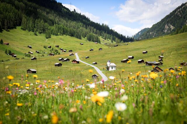 Die Pfundser Tschey blüht während des Wiesenmonats in vielen prächtigen, bunten Farben. | Foto: TVB Tiroler Oberland, Kurt Kirschner