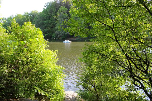 Thalersee, Bootsverleih