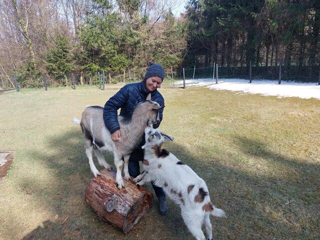 Aus einem Pferd sind mittlerweile 16 Pferde, 3 Esel, 3 Ziegen, Hunde, Katzen, Hühner, Kaninchen und Meerschweinchen geworden.  | Foto: Julia Weinelt