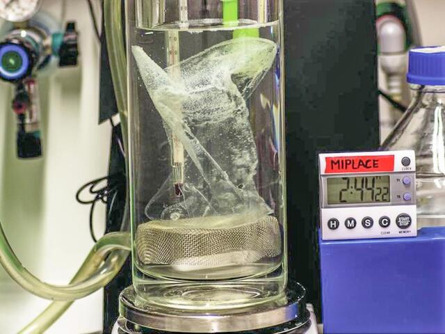 Versuchsaufbau zum Zersetzen einer PET-Verpackung | Foto: Universität Leipzig