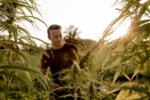 Foto: Schickmaier KG