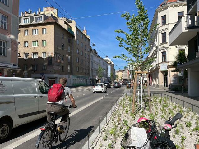 Ist er der erste Radler auf dem verbesserten Radstreifen? Wohl kaum. Bei der letzten Baumpflanzung war reger Betrieb auf dem neuen Streifen. | Foto: Johannes Reiterits