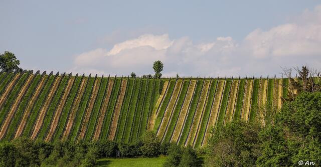 Das Wochenende in der Steiermark bleibt sonnig, es ziehen aber ein paar Gewitterwolken auf. | Foto: Anneliese Seidnitzer