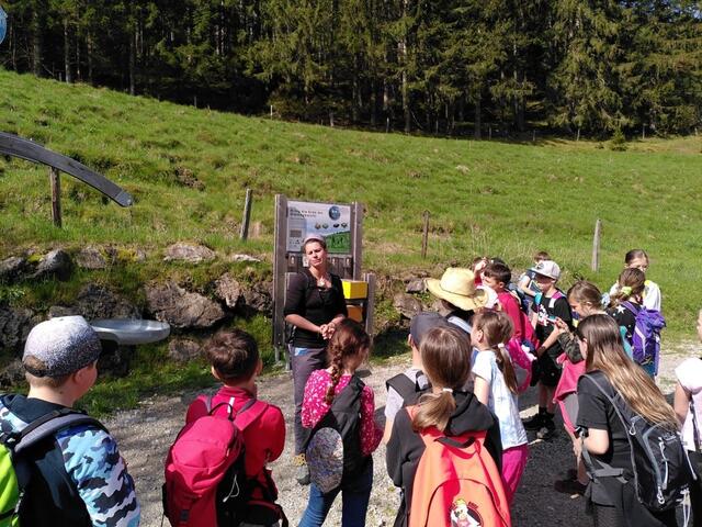 Foto: Volksschule Neuberg