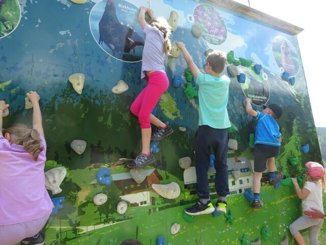 Foto: Volksschule Neuberg