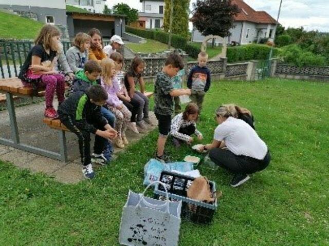 Foto: Gemeinde Unterkohlstätten