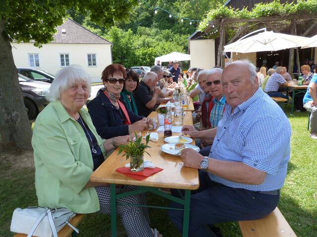 Schnitzel und Kartoffelsalat an einem angenehmen Sonntag-Mittag
