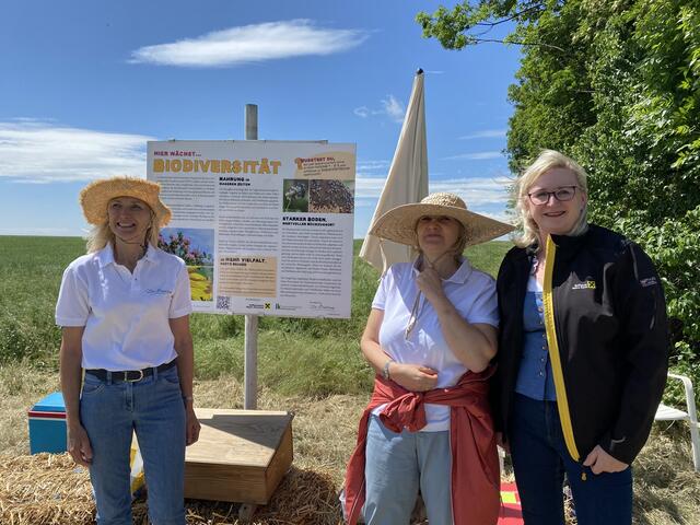 Karin Karpf, Gabriela Schorn, Elfriede Drechsler