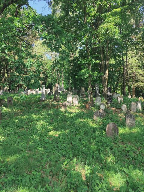 Jüdischer Friedhof Kobersdorf | Foto: Natascha Thurner
