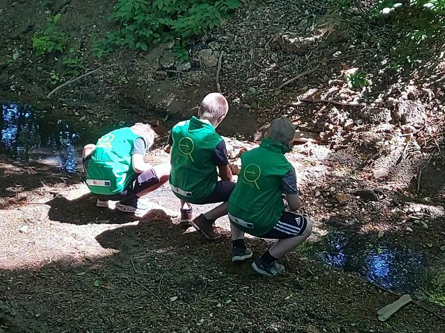 VS Kohfidisch | Foto: Wirtschaftsagentur Burgenland GmbH