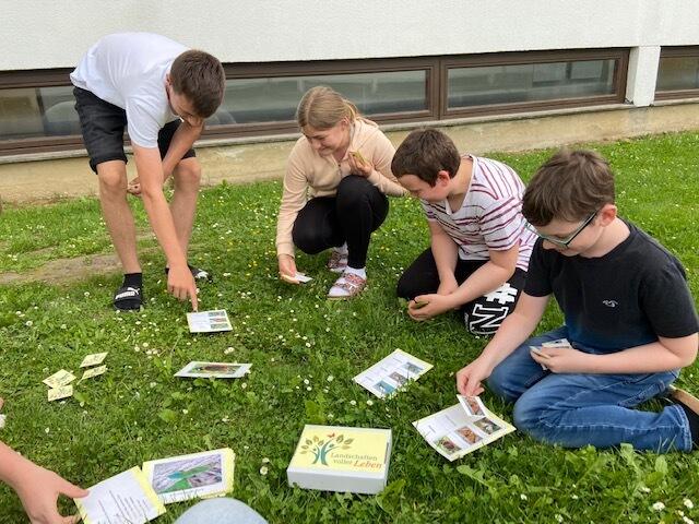 MS Lockenhaus | Foto: Wirtschaftsagentur Burgenland GmbH