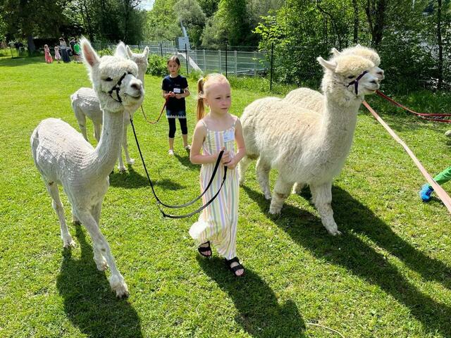 Foto: Schule an der Alm