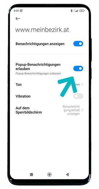 Pupup-Benachrichtigungen erlauben aktivieren | Foto: RegionalMedien Austria