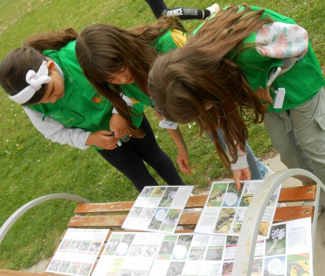 VS Kaisersdorf | Foto: Wirtschaftsagentur Burgenland GmbH