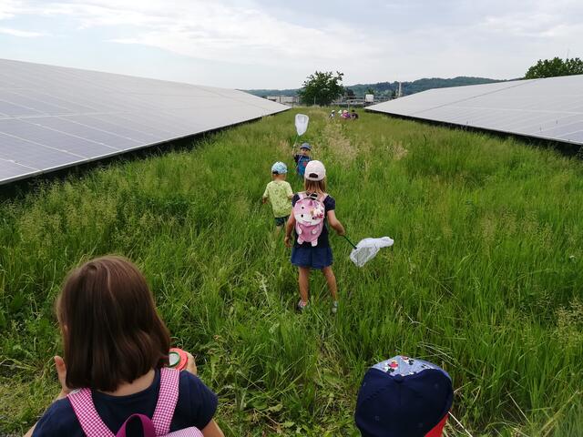 Foto: Wirtschaftsagentur Burgenland GmbH