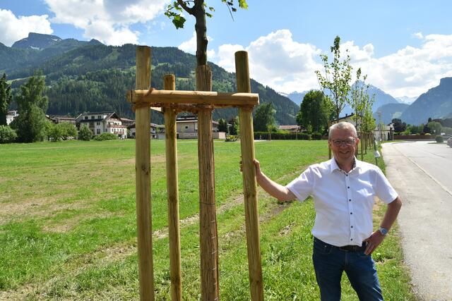 Bürgermeister Robert Pramstrahler und sein Team sorgen für mehr Grün in Zell a. Z.  | Foto: Haun