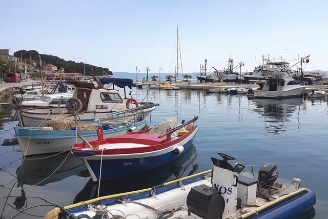 SUMARTIN ist nach dem Mantelheiligen benannt.